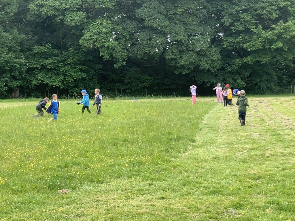 Wide parkland view at Baldersby Park