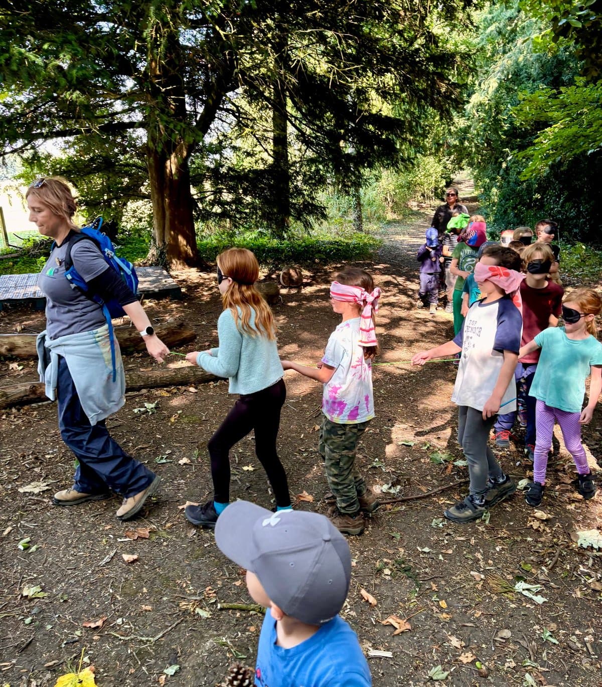 Scenic view at Baldersby Park